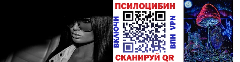 hydra ТОР  Новое Девяткино  Псилоцибиновые грибы Psilocybe  купить наркоту 